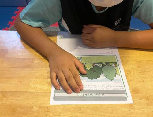 Early Literacy Skills: How Children Learn to Read and Write