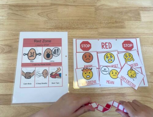 Zones of Regulation