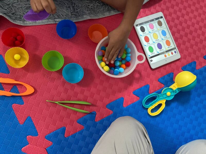 Pom Pom Sorting: Fine Motor Skills Activity - OrbRom | Special Needs ...