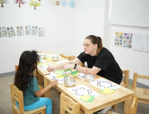 Special Education Teacher (Preschool)